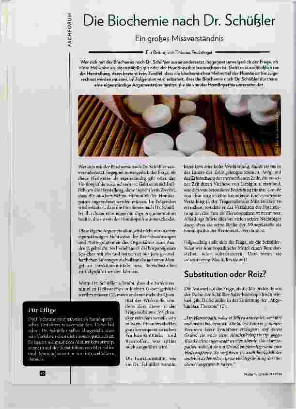 Vorschauseite 1: Die Biochemie nach Dr. Schüfeler