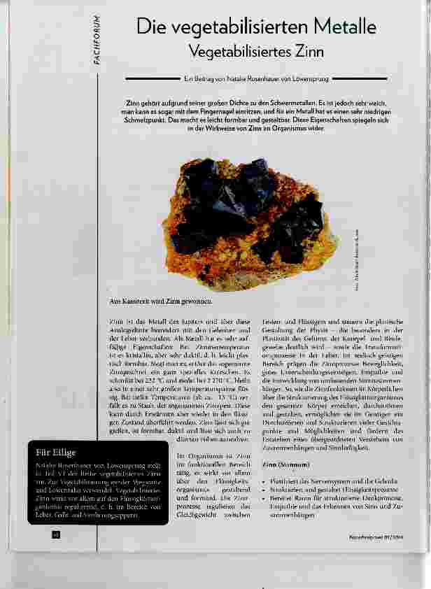 Vorschauseite 1: Die vegetabilisierten Metalle Vegetabilisiertes Zinn