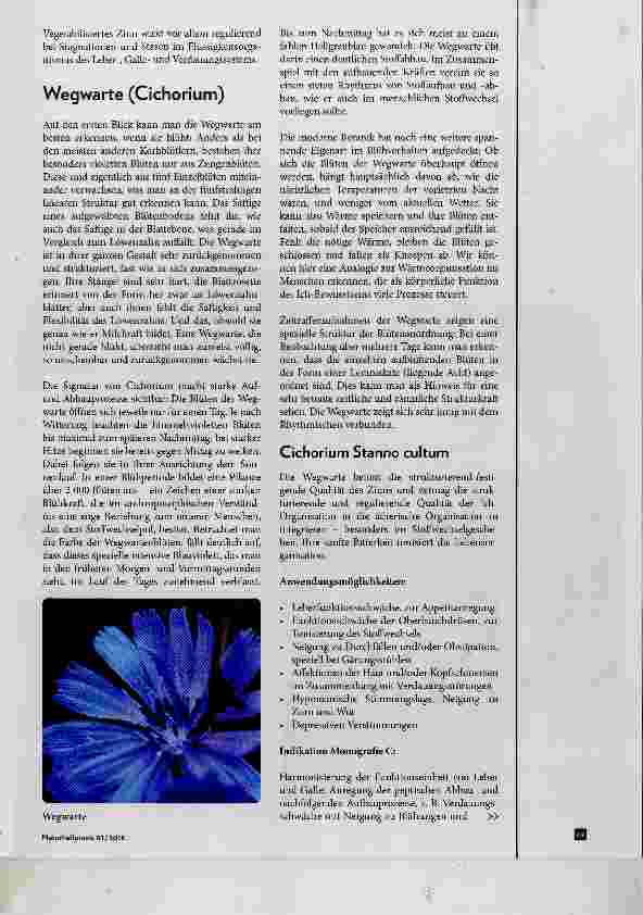 Vorschauseite 2: Die vegetabilisierten Metalle Vegetabilisiertes Zinn