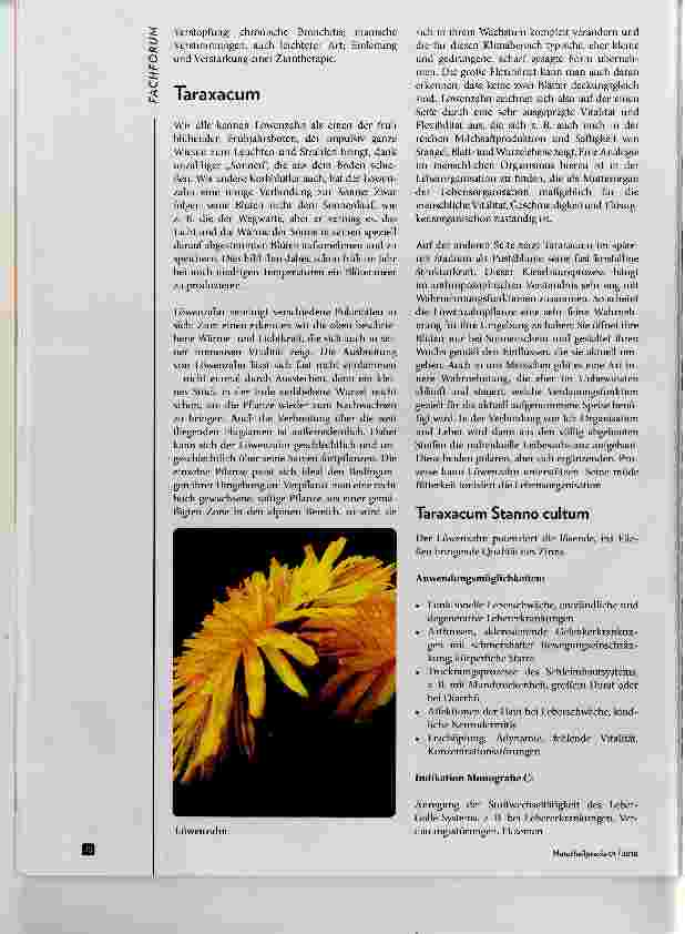 Vorschauseite 3: Die vegetabilisierten Metalle Vegetabilisiertes Zinn