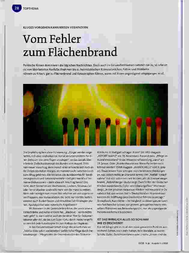 Vorschauseite 1: Vom Fehler zum Flächenbrand