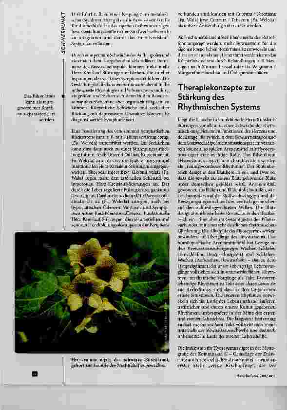 Vorschauseite 3: Heilungsbedarf funktioneller Herz-Kreislauf-Störungen