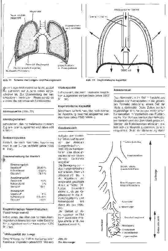 Vorschauseite 2: Stationshandbuch Klinische Krankenpflege 11. Folge: Atmung