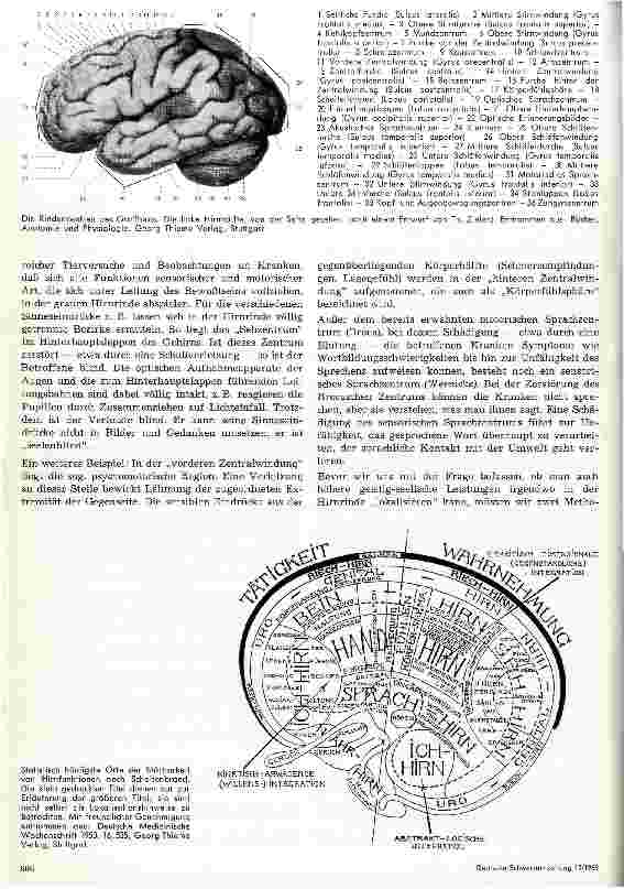 Vorschauseite 3: Gehirn und Seele Das psychologische Problem und die Steuerungsfunktionen des Gehirns