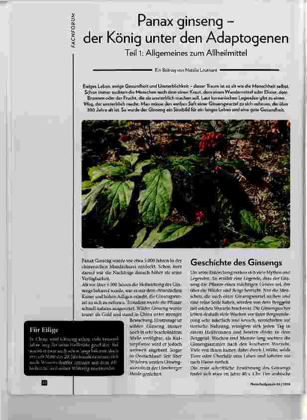 Vorschauseite 1: Panax ginseng der König unter den Adaptogenen Teil 1; Allgemeines zum Allheilmittel
