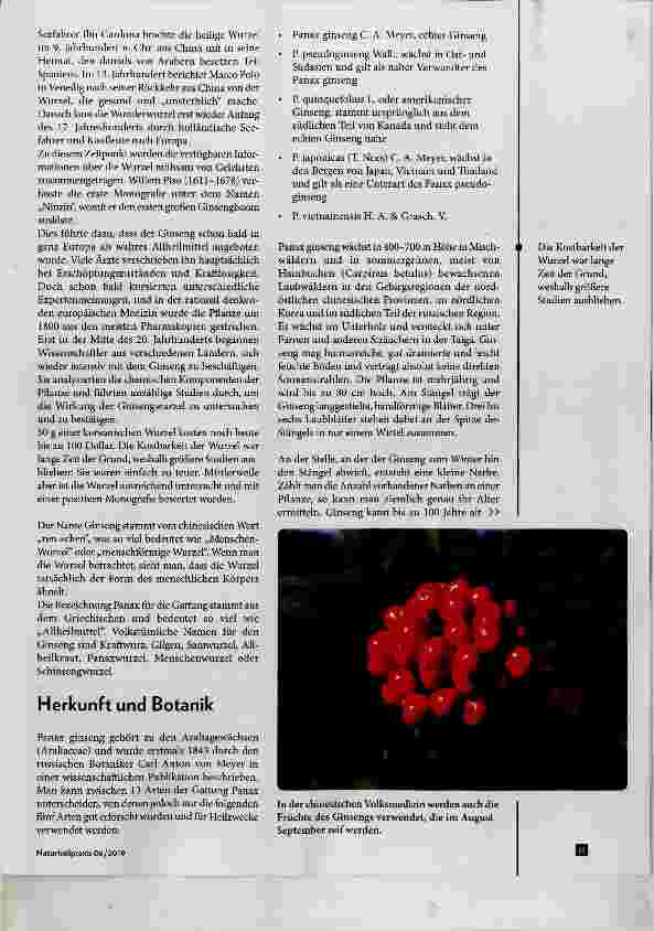 Vorschauseite 2: Panax ginseng der König unter den Adaptogenen Teil 1; Allgemeines zum Allheilmittel