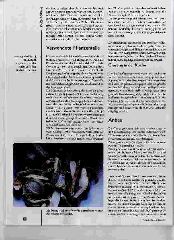 Vorschauseite 3: Panax ginseng der König unter den Adaptogenen Teil 1; Allgemeines zum Allheilmittel
