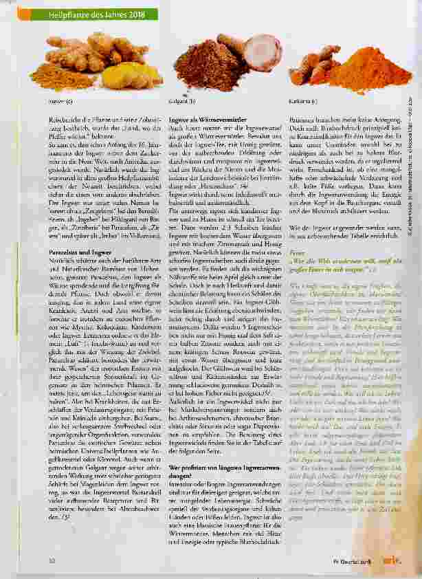 Vorschauseite 3: Ingwer (Zingiber officinale)