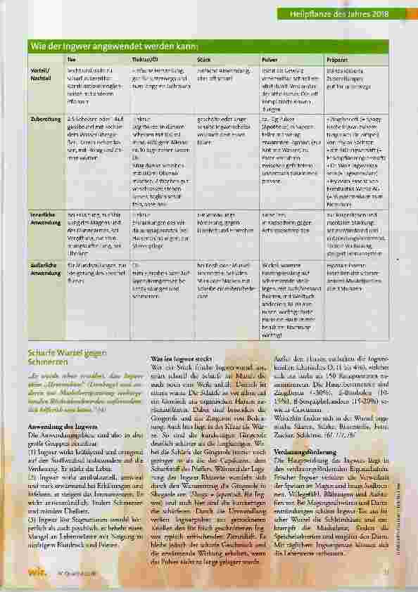 Vorschauseite 4: Ingwer (Zingiber officinale)