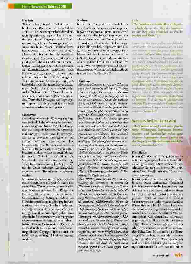 Vorschauseite 5: Ingwer (Zingiber officinale)
