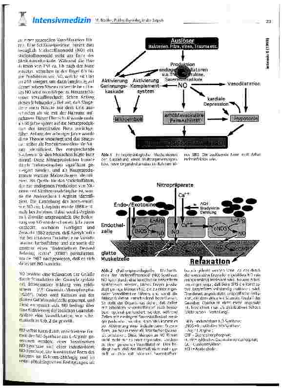 Vorschauseite 2: Pathophysiologie der Sepsis