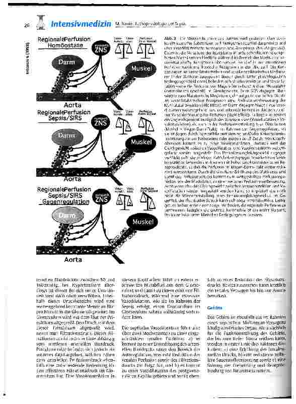 Vorschauseite 5: Pathophysiologie der Sepsis