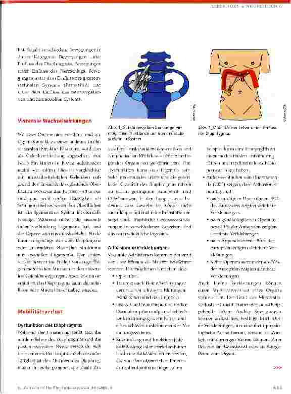 Vorschauseite 2: Osteopathie- Viszerale Osteopathie