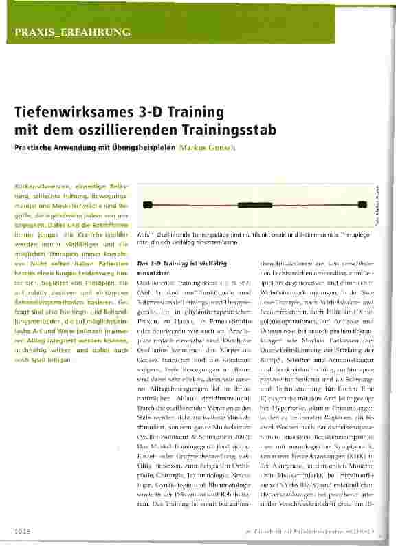 Vorschauseite 1: Tiefenwirksames 3-D Trainingmit dem oszillierenden Trainingsstab Praktische Anwendung mit Übungsbeispielen