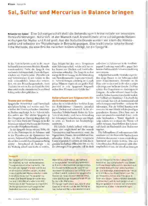 Vorschauseite 1: Salp Sulfur und Mercurius in Balance bringen