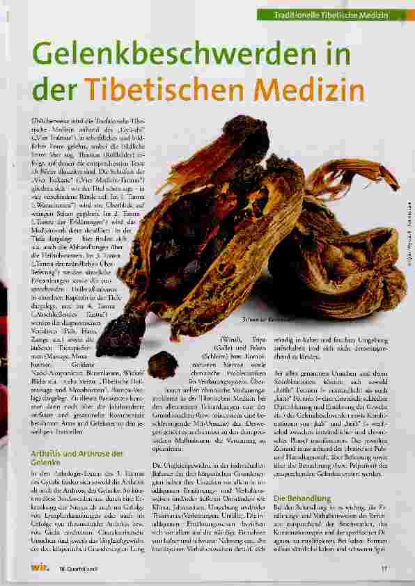 Vorschauseite 1: Gelenkbeschwerden in der Tibetischen Medizin