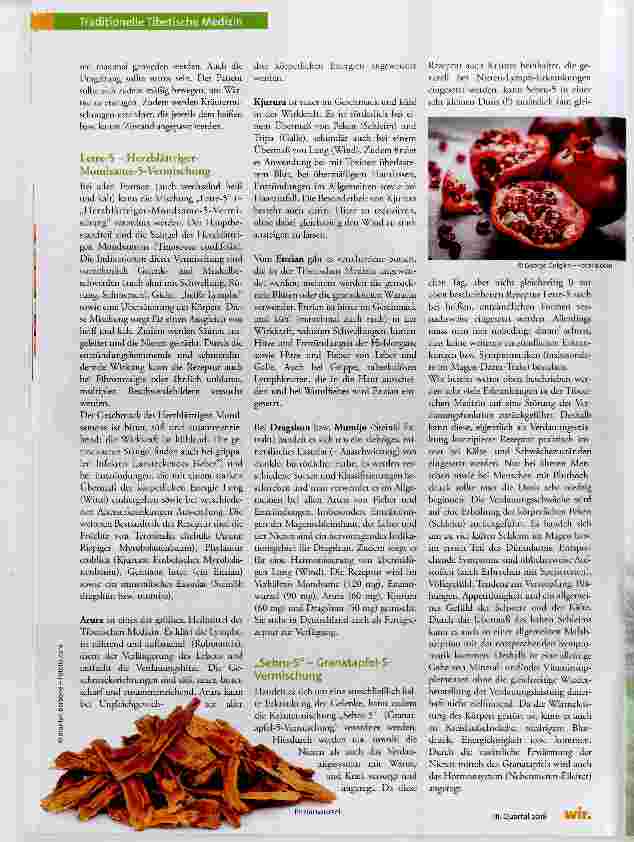 Vorschauseite 2: Gelenkbeschwerden in der Tibetischen Medizin