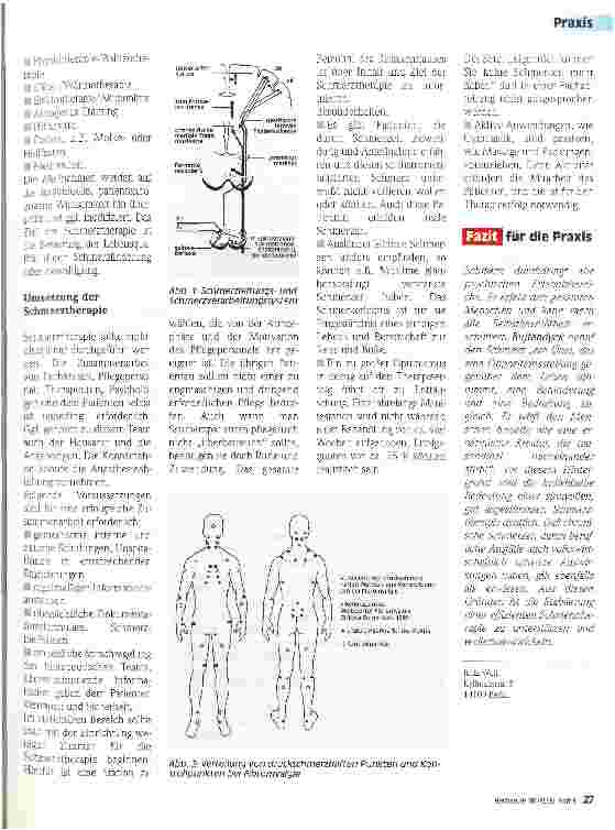 Vorschauseite 2: Schmerztherapie bei Erkrankungen des Bewegungsapparates