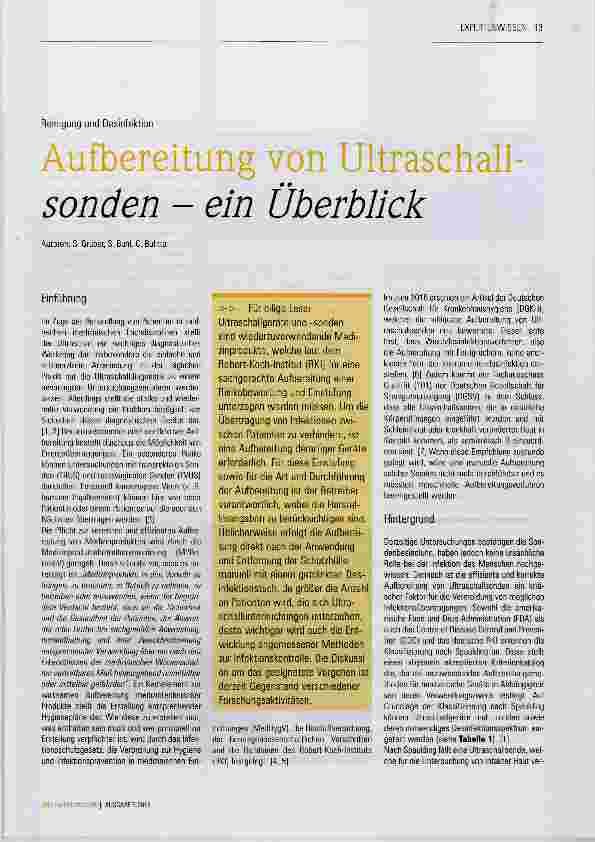 Vorschauseite 1: Aufbereitung von Ultraschall sonden ein Überblick