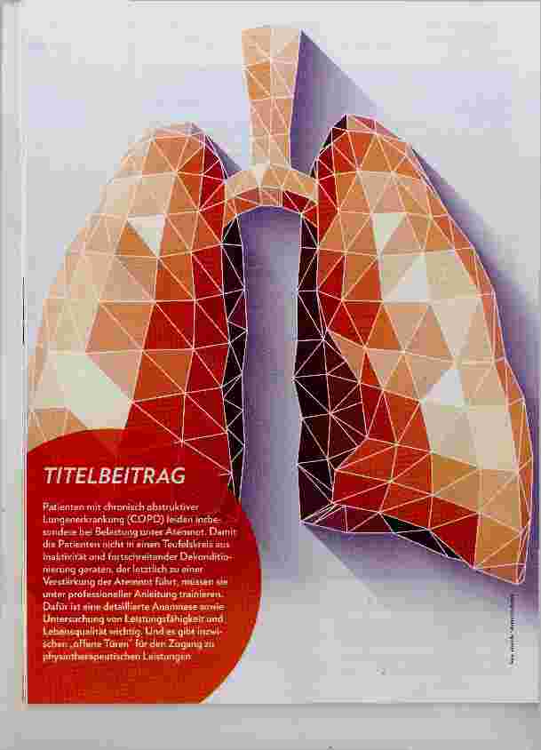 Vorschauseite 1: Physiotherapie und Training bei Patienten mit COPD