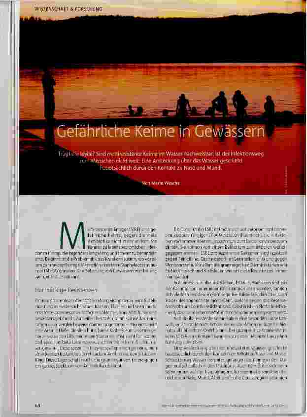 Vorschauseite 1: Gefährliche Keime im Gewässer