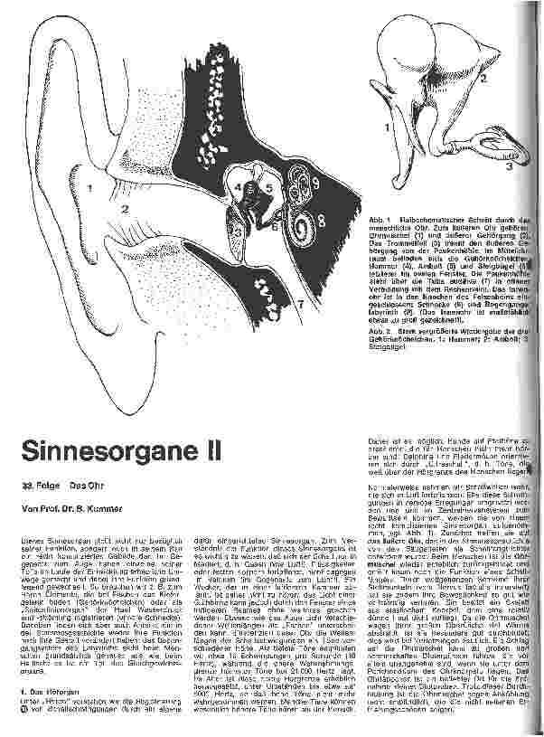 Vorschauseite 1: Sinnesorgane II 33. Folge: Das Ohr