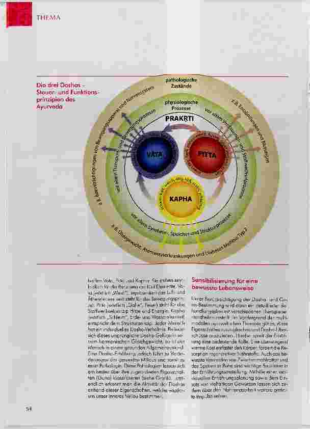 Vorschauseite 2: Ayurvedische Heilkunst