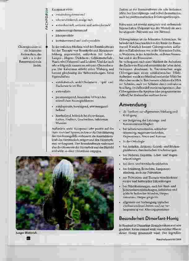 Vorschauseite 3: Baumkraftwurz