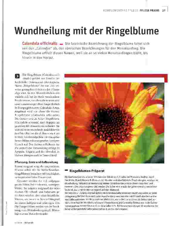 Vorschauseite 1: Wundheilung mit der Ringelblume