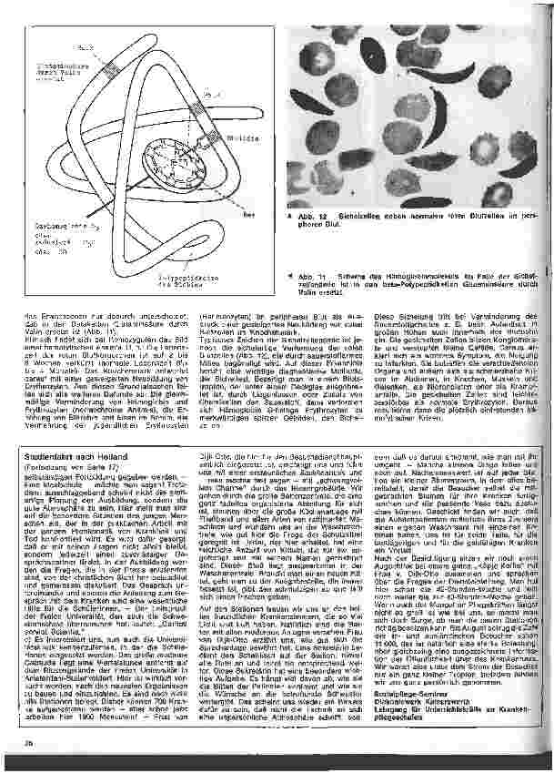 Vorschauseite 5: Kinderheilkunde 14. Folge: Angeborene Stoffwechselstörungen
