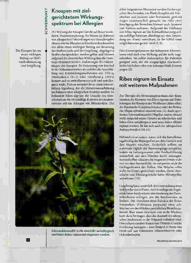 Vorschauseite 3: Die Schwarze Johannisbeere Knospenkraft bei Allergien