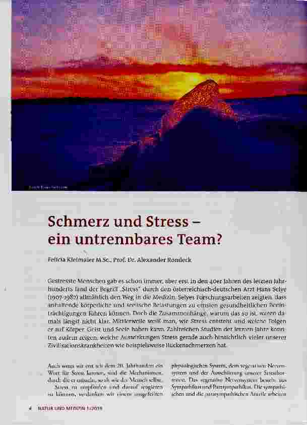 Vorschauseite 1: Schmerz und Stress ein untrennbares Team?