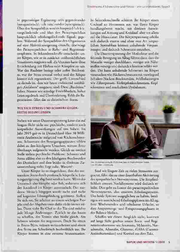 Vorschauseite 2: Schmerz und Stress ein untrennbares Team?