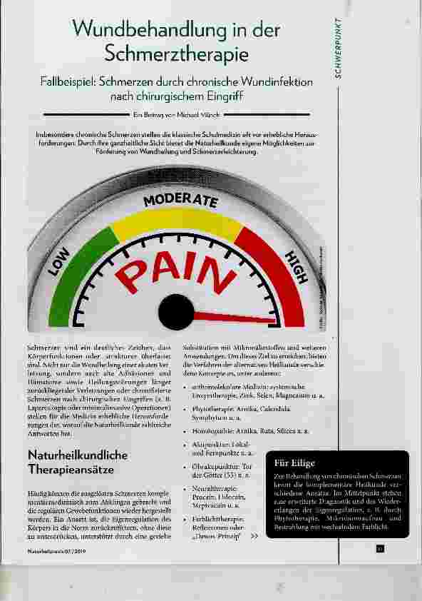 Vorschauseite 1: Wundbehandlung in der Schmerztherapie