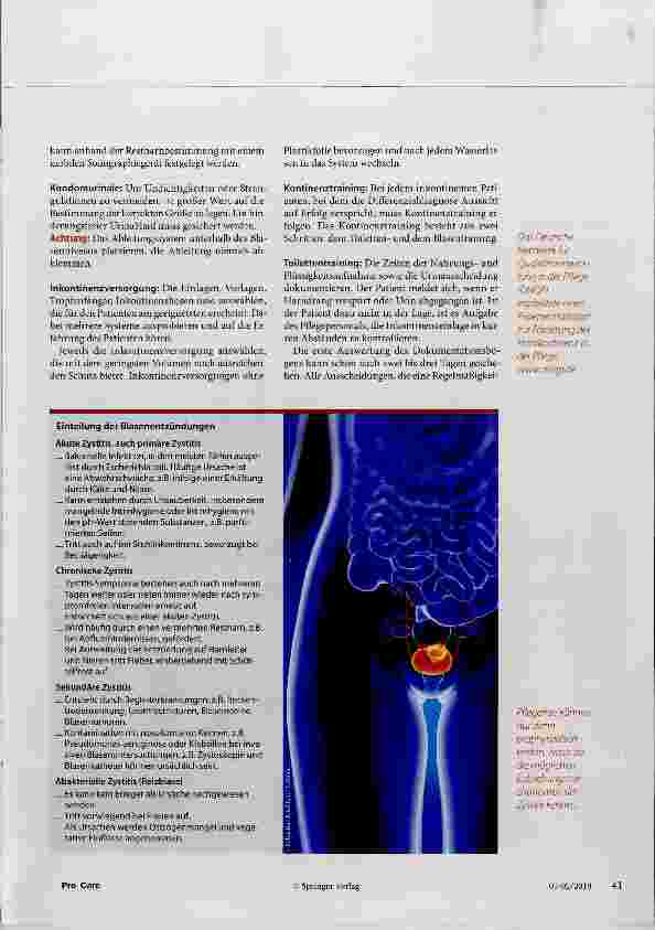 Vorschauseite 3: Zystitis: Symptome kennen und prophylaktisch handeln