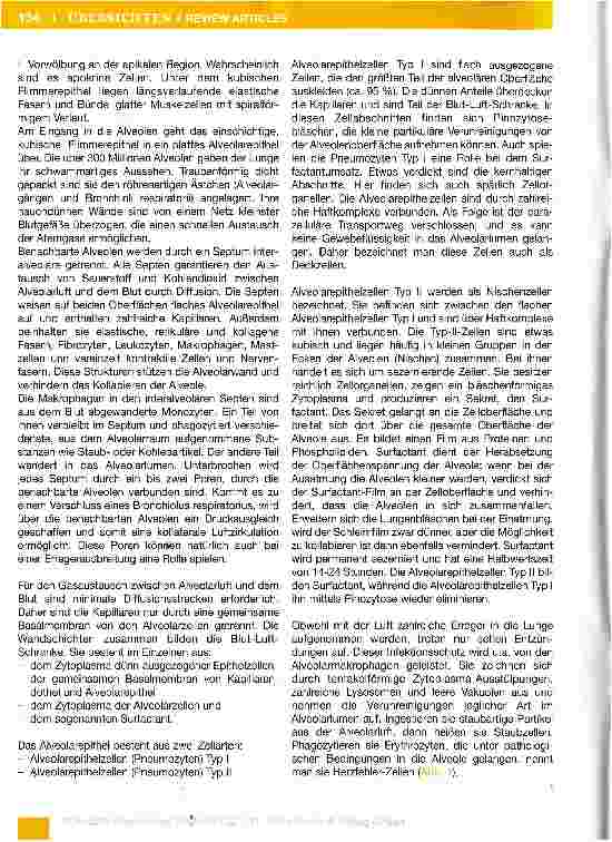 Vorschauseite 2: Das Immunsystem (Teil 1-7)Teil 3: Das Immunsystem und die Lunge