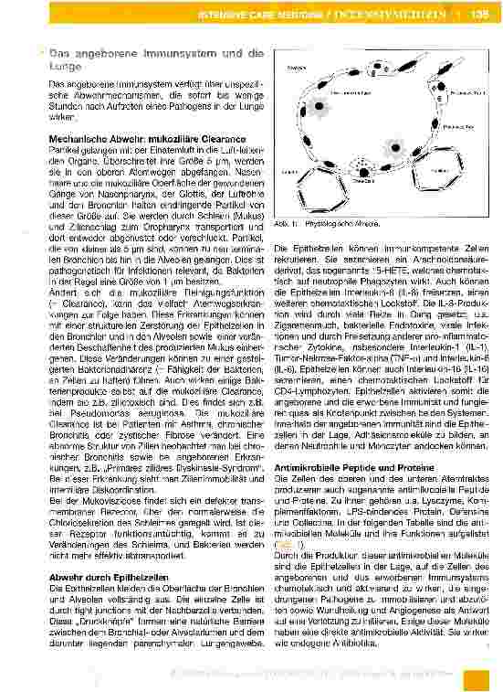 Vorschauseite 3: Das Immunsystem (Teil 1-7)Teil 3: Das Immunsystem und die Lunge