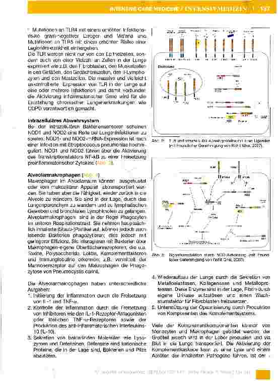 Vorschauseite 5: Das Immunsystem (Teil 1-7)Teil 3: Das Immunsystem und die Lunge