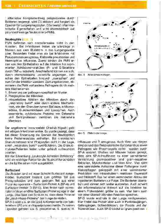 Vorschauseite 6: Das Immunsystem (Teil 1-7)Teil 3: Das Immunsystem und die Lunge
