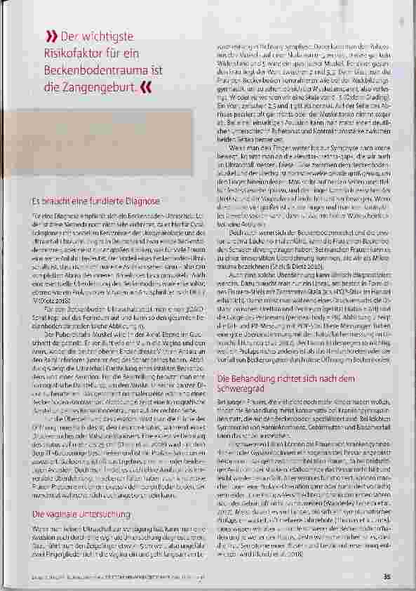 Vorschauseite 3: Beckenbodentrauma