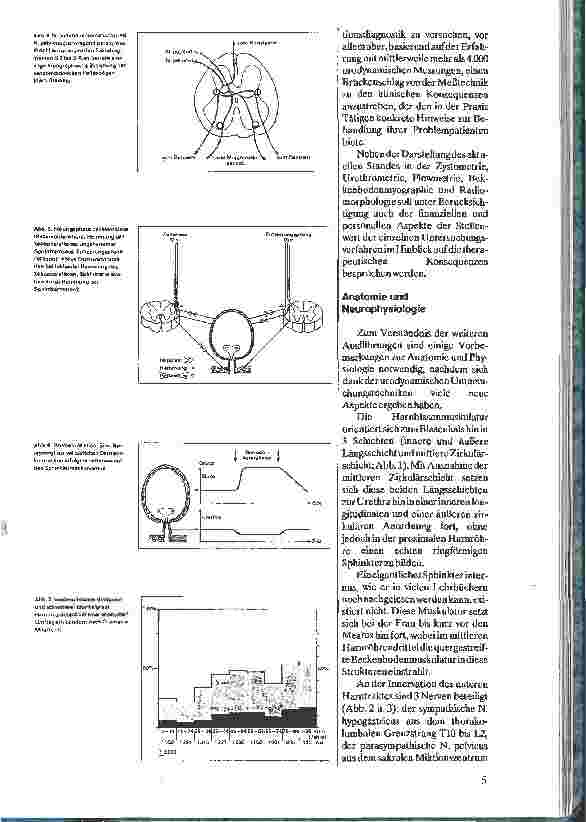 Vorschauseite 2: Urologische Funktionsdiagnostik 1. Anatomie, Physiologie und Klassifikation der Harninkontinenz