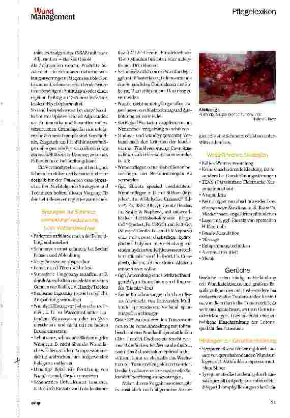 Vorschauseite 2: Aspekte der Wundversorgung in der Palliativbetreuung