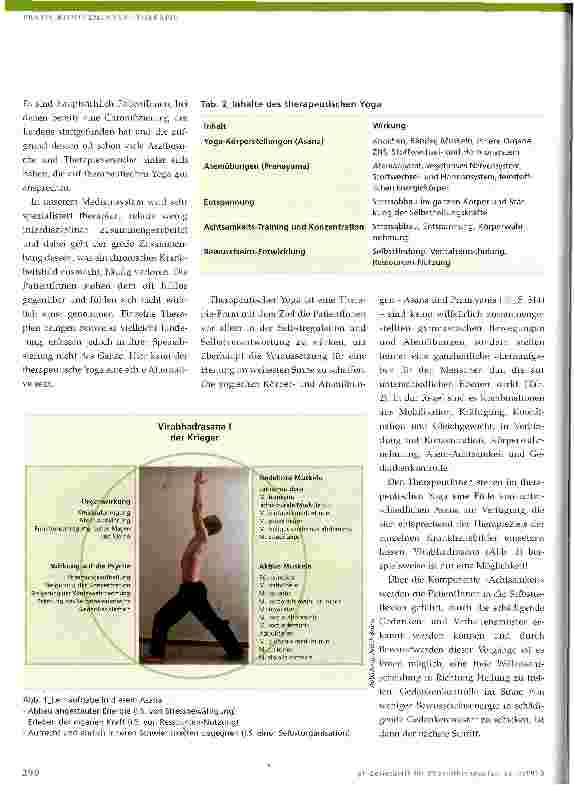 Vorschauseite 3: Therapeutischer Yoga