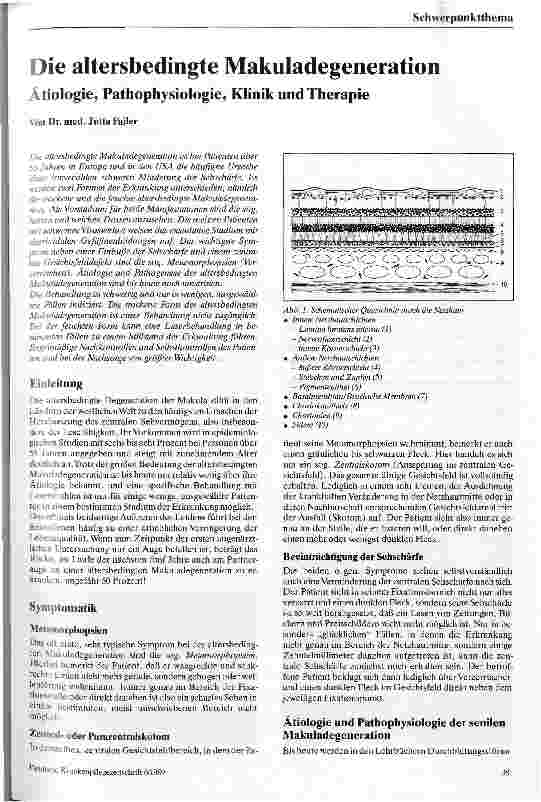 Vorschauseite 1: Die altersbedingte Makuladegeneration Ätiologie, Pathophysiologie, Klinik, Therapie