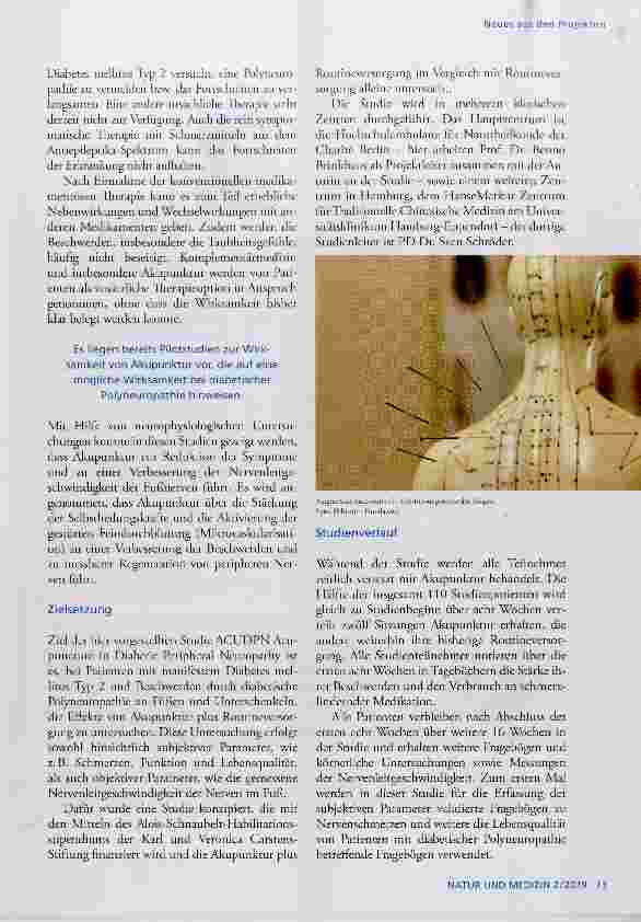 Vorschauseite 2: Akupunktur bei diabetischer Polyneuropathie durch Diabetes mellitus Typ 2