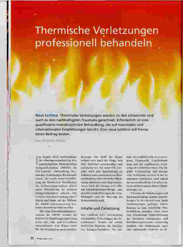 Vorschauseite 1: Thermatische Verletzungen professionell behandeln