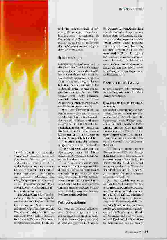 Vorschauseite 2: Thermatische Verletzungen professionell behandeln