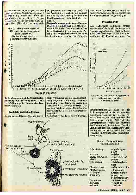 Vorschauseite 2: Physiologische endokrine Veränderungen in der Schwangerschaft
