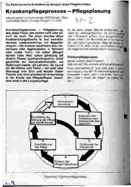 Vorschauseite 1: Krankenpflegeprozess - Pflegeplanung Die Parkinsonsche Krankheit am Beispiel eines Pflegeberichtes