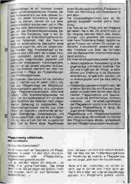 Vorschauseite 2: Krankenpflegeprozess - Pflegeplanung Die Parkinsonsche Krankheit am Beispiel eines Pflegeberichtes